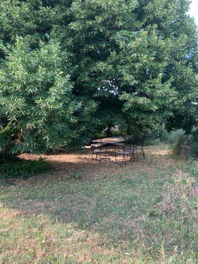 Studio Sud Luberon Grambois Eksteriør bilde