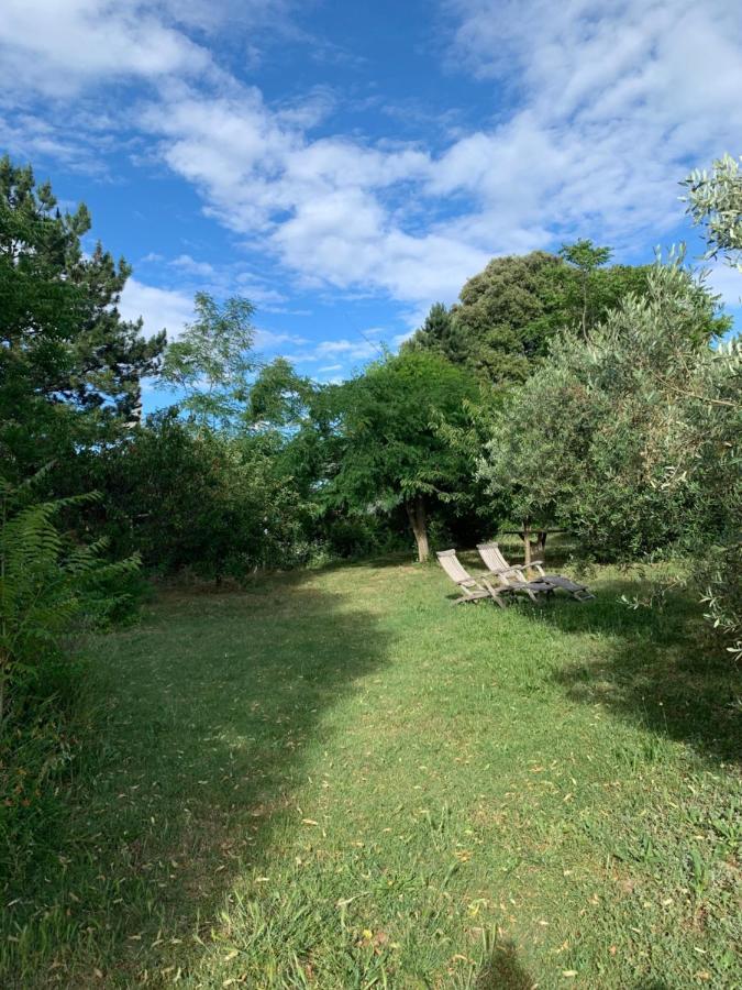Studio Sud Luberon Grambois Eksteriør bilde